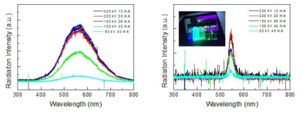 방사선 신틸레이터 CsI(Tl) 와 CsPbBr3 의 방사선 측정