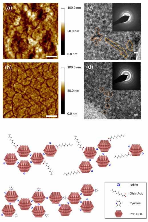 (상) ligand exchange 된 PbS 박막의 AFM, TEM [(a)(c) TBAI and (b)(d) Hybrid (TBAI+Pyr)]. 하이브리드 ligand (HB)는 향상된 root-mean-square roughness의 박막 특성을 보임. (하) TBAI-, HB- ligand exchange PbS 박막 모식도