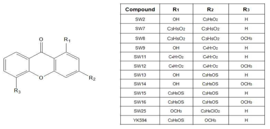 Xanthone 화합물의 구조