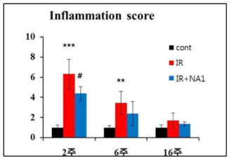 75 Gy 2주, 6주, 16주에서의 inflammation score 및 NA1의 효과 비교