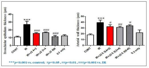 HSP27 억제 후보물질 처리한 폐조직의 H&E staining – Bronchiolar epithelium, Arterial wall thickness 측정 결과. IR: 75Gy 방사선만 조사한 그룹, IR+J2 4+2: 75Gy 방사선 조사 직후 HSP27 억제 후보물질을 4주동안만 처리한 그룹, IR+J2 2+4: 방사선 조사 후 2주 이후부터 HSP27 억제 후보물질을 4주 동안만 처리한 그룹, IR+J2 6: 75Gy 방사선 조사 후 HSP27 억제 후보물질을 6주 동안 처리한 그룹, J2 only: HSP27 억제 후보물질만 6주 처리한 그룹