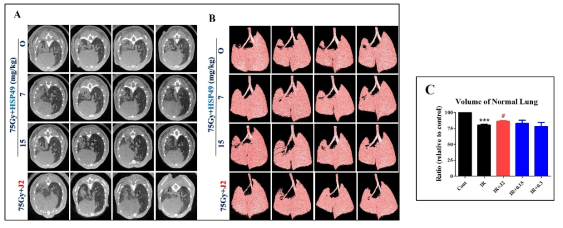 75Gy 방사선 조사 후 Micro-CT 측정 결과. 왼쪽 폐를 대상으로 consoldiation부분을 제외한 정상 폐조직의 volume을 측정한 결과. A : Horizontal slice orientation. B : Images of 3D micro-CT. C : Graph of Normal lung volume