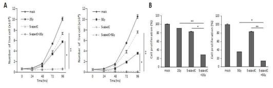 HCT116 cell에서 5-aza-CdR (0.5uM) 처리 및 방사선 선량 (2G (좌), 5G (우))에 따른 세포 생장수(A) 및 cell proliferation (B) 조사