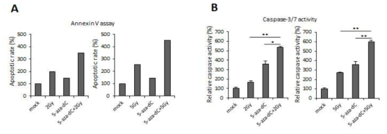 대장암 세포주 (HCT116)에서 5-aza-CdR (0.5uM) 및 방사선 처리 (2 Gy(좌), 5 Gy(우)) 에 따른 (A) apoptosis 분석 결과 및 (B) caspase 3/7 활성 변화 분석 결과