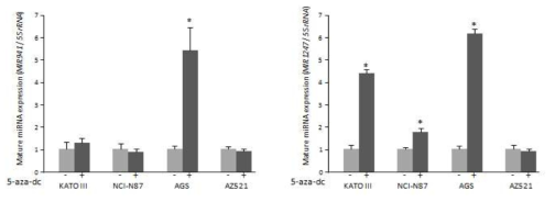 다양한 위암세포주에서 5-aza-dC 처리에 의한 mature MIR941과 MIR1247의 발현 변화 조사 (좌: pri-MIR941 발현, 우: pri-MIR1247 발현)