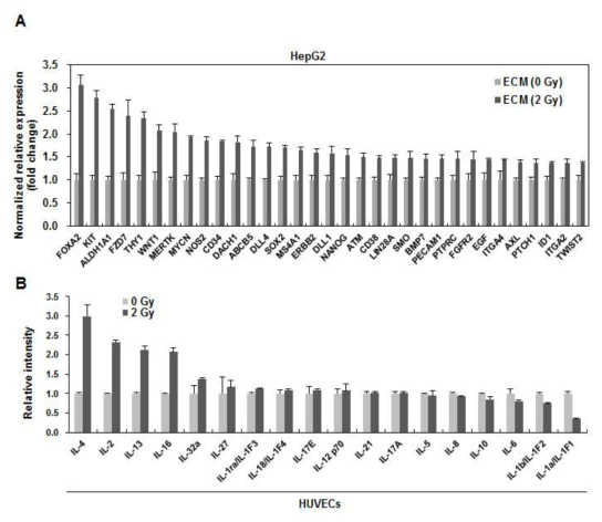 방사선이 조사된 혈관내피세포에서 종양 세포의 악성화에 기여하는 외부 인자 발굴 (논문 투고 예정)