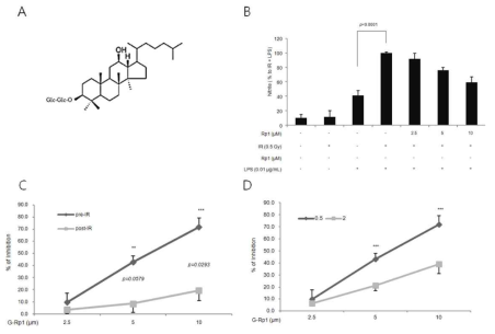 진세노사이드 Rp1에 의한 방사선 및 LPS에 의한 NO 생성 억제효과. (A) 진세노사이드 Rp1의 화학적 구조 (B) 진세노사이드 Rp1의 방사선 및 LPS 처리에 의한 NO생성 억제효과 (C) 방사선 조사 전후 진세노사이드 Rp1 처리 시점에 의한 진세노사이드 Rp1의 억제효과에 비교 (D) 방사선 조사 농도 증감에 의한 진세노사이드 Rp1의 억제효과에 비교