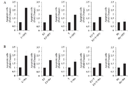 Estradiol, TGF-b1, Hypoxia를 처리한 군에서의 세포사멸 저항성 비율을 확인함