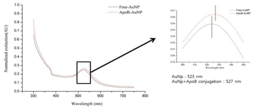 ApoB-AuNP 나노복합체 합성전후 광흡수 스펙트름