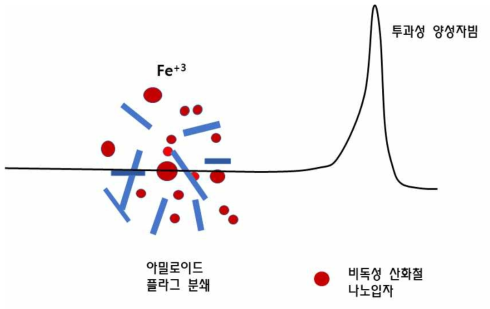 쿨롱나노킬레이터 치료 개요도, 투과성 양성자를 조사하여, 산화철나노입자로부터 아밀로이드 플라그가 분쇄되면서, 산화철이 비독성 3가 이온으로 변환되는 모습