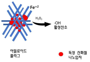 아밀로이드 플라그 내 독성 산화철의 활성산소 생성, 2가 철이온을 가지는 아밀로이드 플라그로부터 산화철 표면에서 활성산소(•OH)가 생성되는 모습. 생성된 활성산소는 그리드 세포 등 신경세포를 손상시켜 치매증상을 유발함