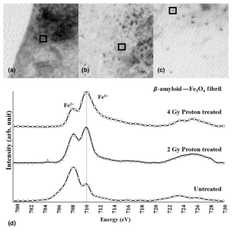 X-선 흡수 스펙트름 (Fe L2,3 absorption edge) (d) upper STXM 영상 비처리 대조군 (a), 양성자 처리군 2 Gy (b), 양성자 처리군 4 Gy (c)