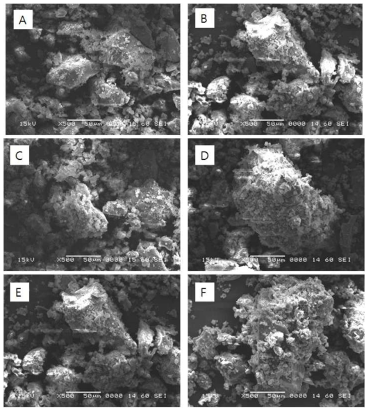 SEM micrographs observed with (A) extracted lignin and (B~F) lignin irradiated at 100, 200, 300, 500, 1000 kGy (×500)