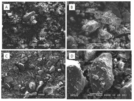 SEM micrographs observed with (A, B) extracted and (C, D) stabilized lignin samples (A, C: ×100; B, D: ×500)