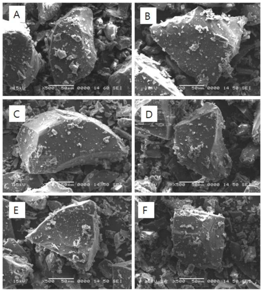 SEM micrographs observed with (A) stabilized lignin, and (B)~(F) stabilized lignin after irradiated at 100, 200, 300, 500, 1000 kGy (×500)