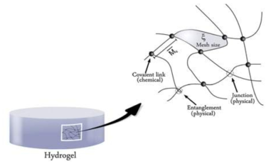 A cross-linked hydrogel structure with the mesh size ξ and the average molecular weight between the cross-linking points, respectively