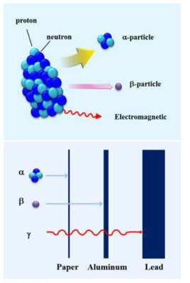 Difference of transmittance depth according to the various radiation types