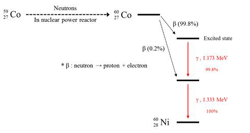 Radioactive decay of 60Co