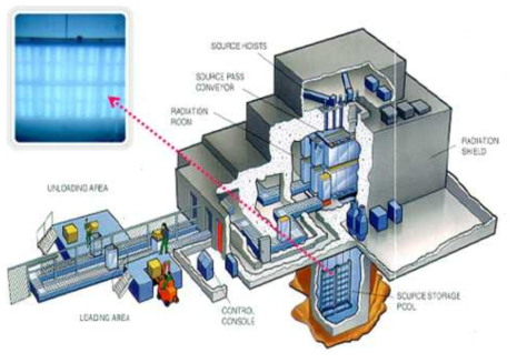 Layout of typical wet storage γ-ray irradiation facility