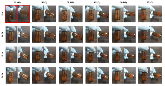 Photographs of CMC hydrogels with various irradiation doses of γ-ray