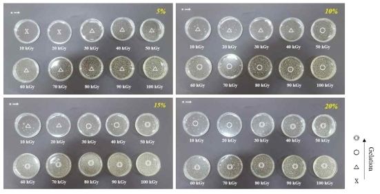 Photographs of CMC hydrogels with various irradiation doses of E-beam