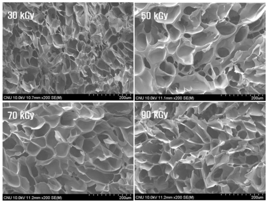 SEM images of CMC hydrogels with various irradiation doses of E-beam