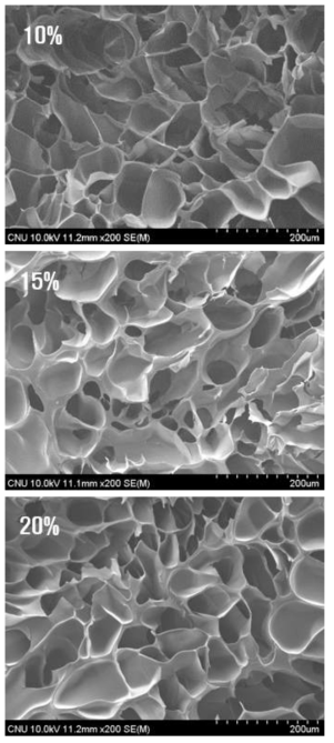 SEM images of CMC hydrogels with various CMC concentrations