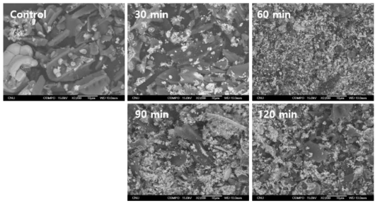 SEM images of activated carbon-silver composite particles with different heat treatment time at 300℃