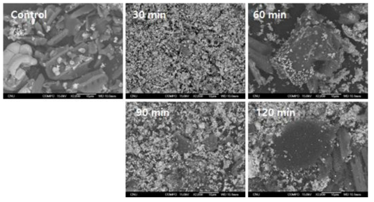 SEM images of activated carbon-silver composite particles with different heat treatment time at 350℃