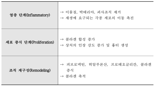 Characteristics of wound healing phase