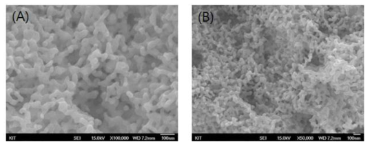 FE-SEM micrographs observed with the silver nanoparticle: (×100,000) of (A) and (×50,000) of (B)