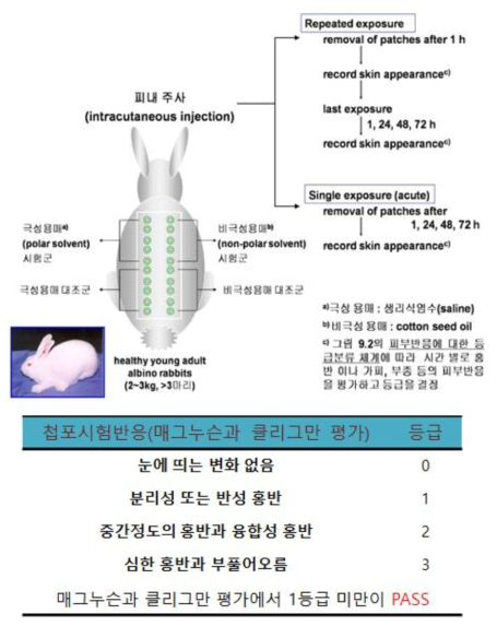 Experimental protocol and values of skin irritation test