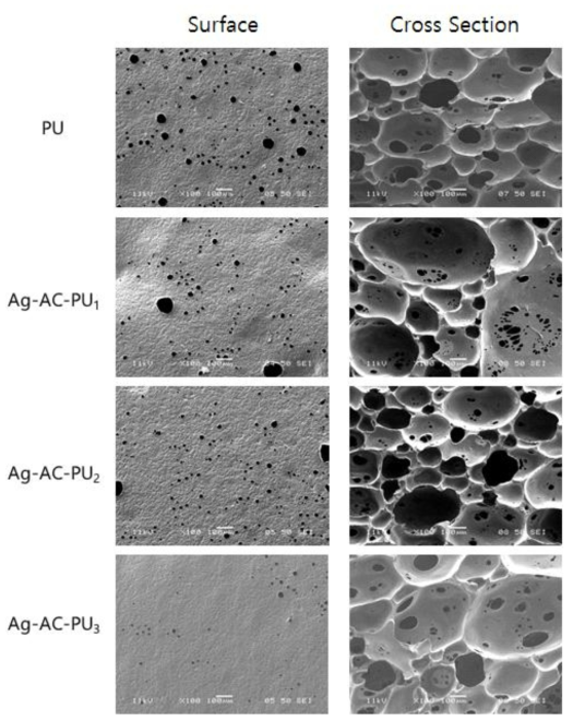 SEM micrographs of Ag-AC-PU foam