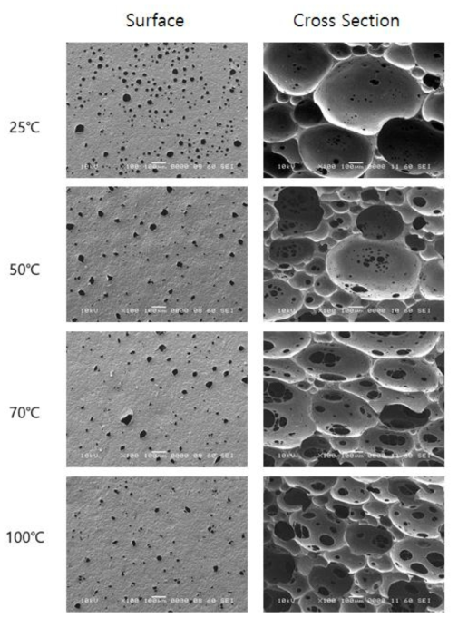 SEM micrographs of Ag-AC-PU foam (1:1, 0.5 wt% Ag-AC)