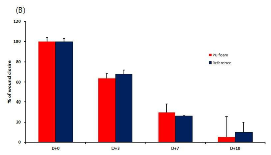 Wound healing effect of reference and PU foam as a fuction of post-treatment time