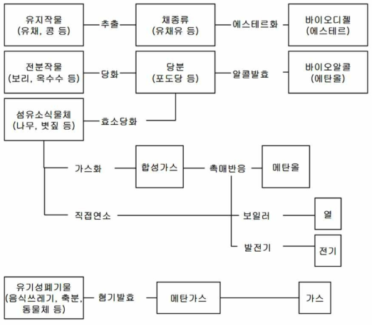 Concept of biomass energy conversion technology