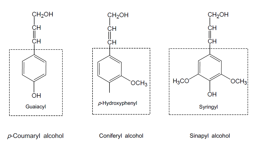 The major chemical components constituting of lignin