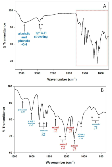 ATR-FTIR absorption spectra (A) measured with the extracted lignin and the absorption spectra (B) between 1800 cm-1 and 700 cm-1