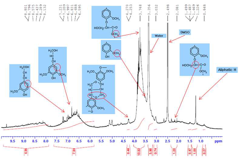 1H-NMR spectra measured with the extracted lignin