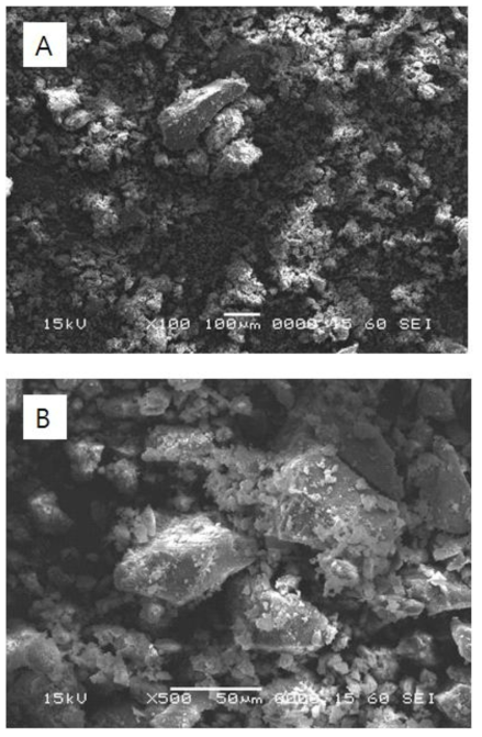 SEM micrographs observed with the extracted lignin(A: x100; B: x500)