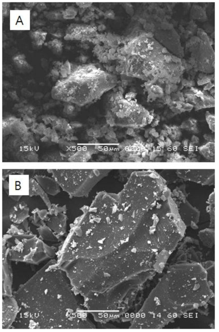 SEM micrographs observed with (A) extracted lignin and (B) carbonized lignin