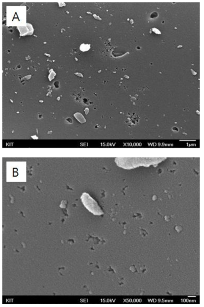 SEM micrographs observed with lignin-based activated carbon(Lignin-CA) (A: x10,000; B: x50,000)