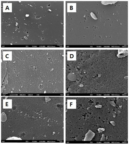 SEM micrographs observed with (A, B) lignin-CA, (C, D) 100 kGy lignin-CA, and (E, F) 200 kGy lignin-CA (A, C, E: x10,000; B, D, F: x50,000)