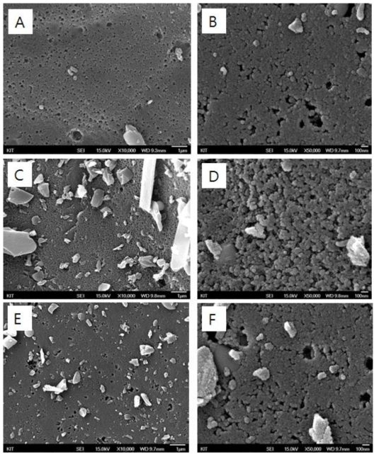 SEM micrographs observed with (A, B) 300 kGy lignin-CA, (C, D) 500kGy lignin-CA, and (E, F) 1000 kGy lignin-CA (A, C, E: x10,000; B, D, F: x50,000)