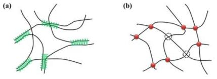 Schematic diagram of (a) physically and (b) chemically cross-linked hydrogels