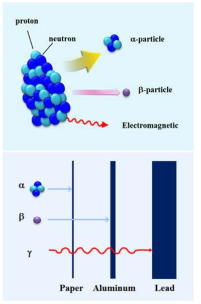 Difference of transmittance depth according to the various radiation types