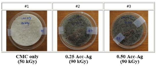 Photographs of lyophilized CMC hydrogel for antimicrobial test