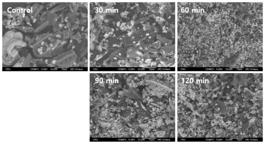 SEM images of activated carbon-silver composite particles with different heat treatment time at 300℃