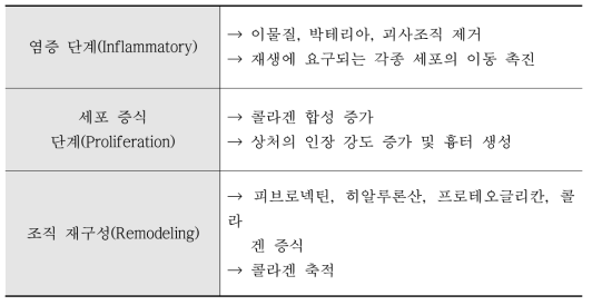 Characteristics of wound healing phase