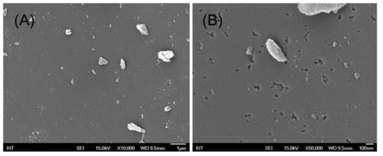 FE-SEM image of electron beam irradiated activated carbon (A: x10,000; B: x50,000)